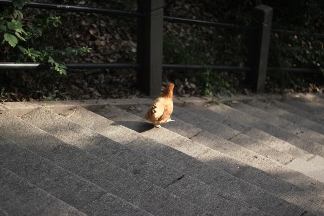 Nature's Hidden Wonders